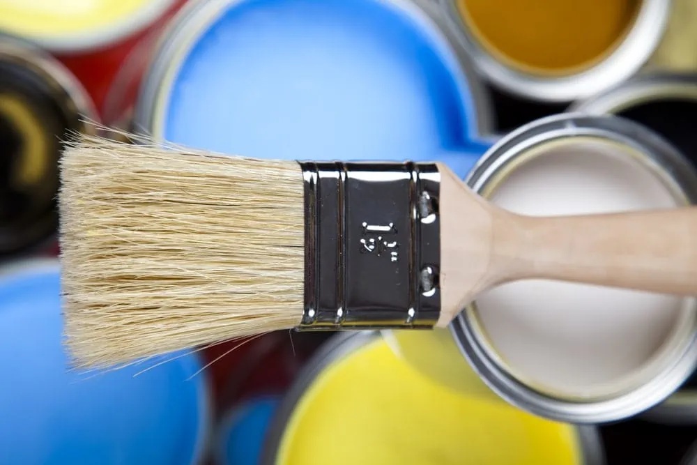 Key Differences Between Oil-Based and Water-Based Paint