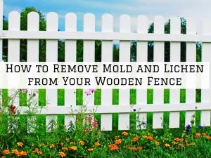How to Remove Mold and Lichen from Your Wooden Fence in Blue Bell, PA.