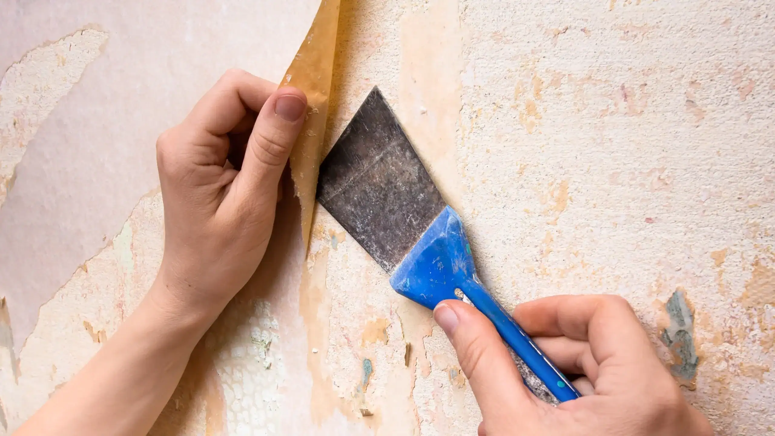 Painting Services in Horsham, PA