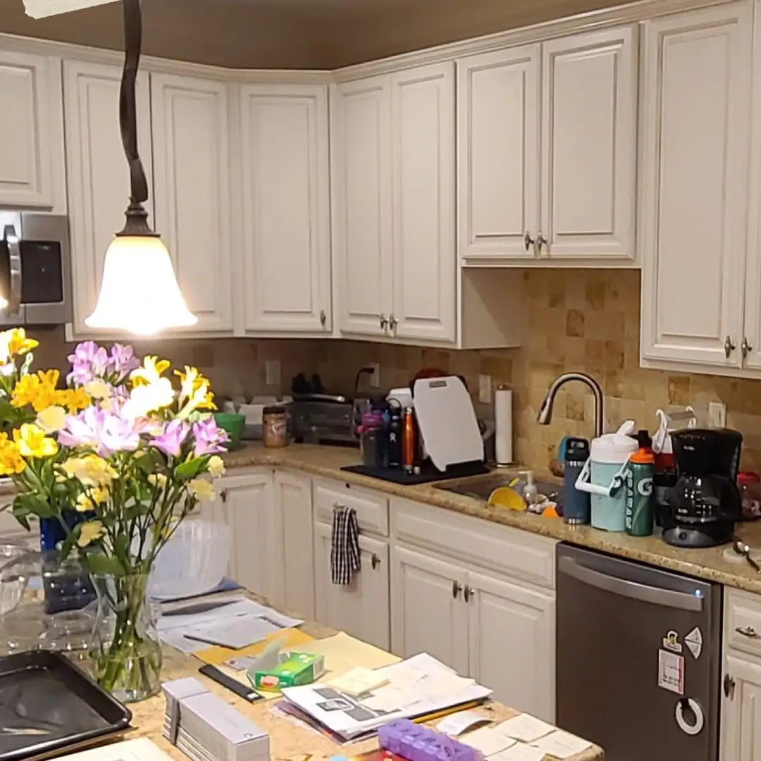 before cabinet painting Lower Gwynedd Township