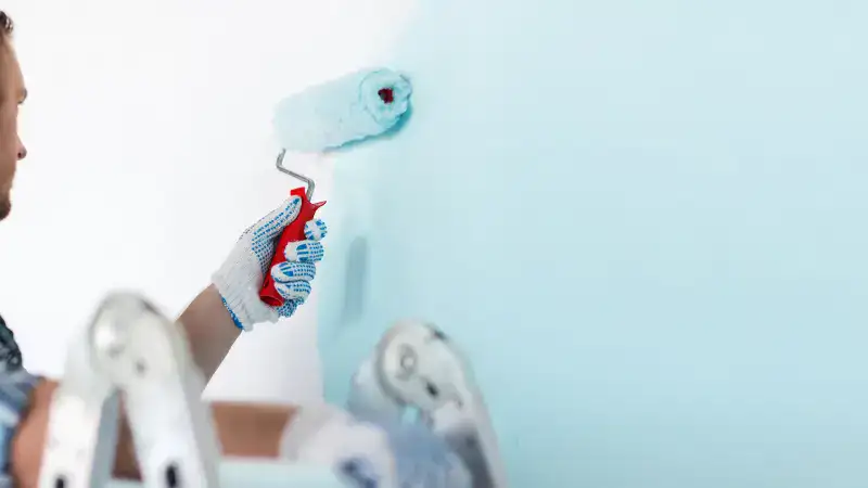 Expert Painting Application